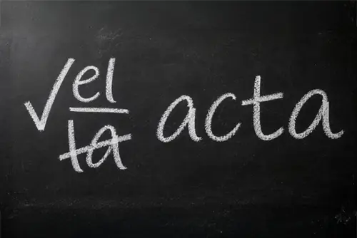 el-acta el acta de reunion